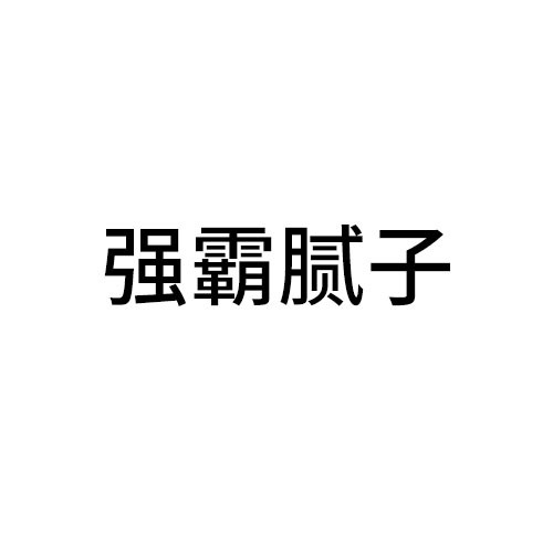 汉中强霸腻子